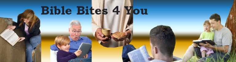 5x5x5 New Testament Bible Reading Plan By Navigators – Bible Bites 4 You